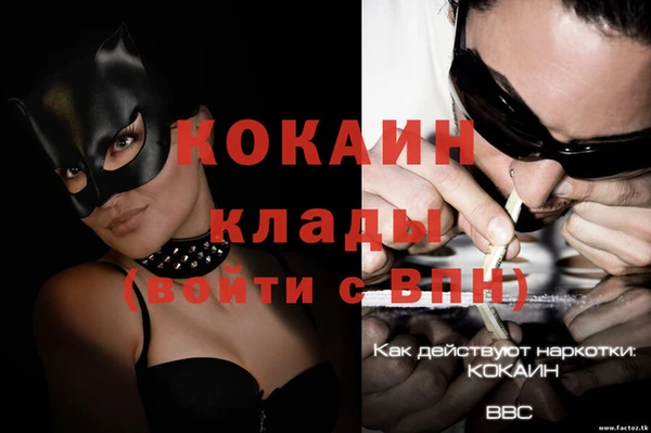 шишки Белоозёрский