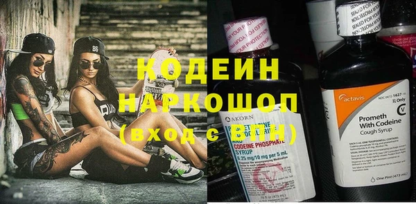 шишки Белоозёрский