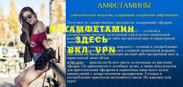 шишки Белоозёрский