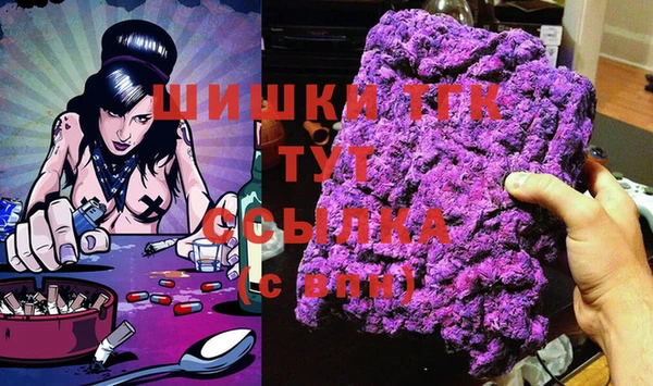 mix Богородицк