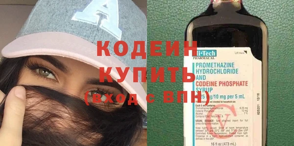 шишки Белоозёрский