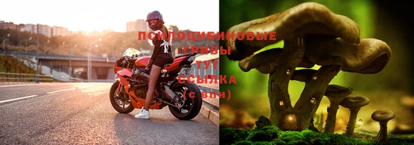 mix Богородицк